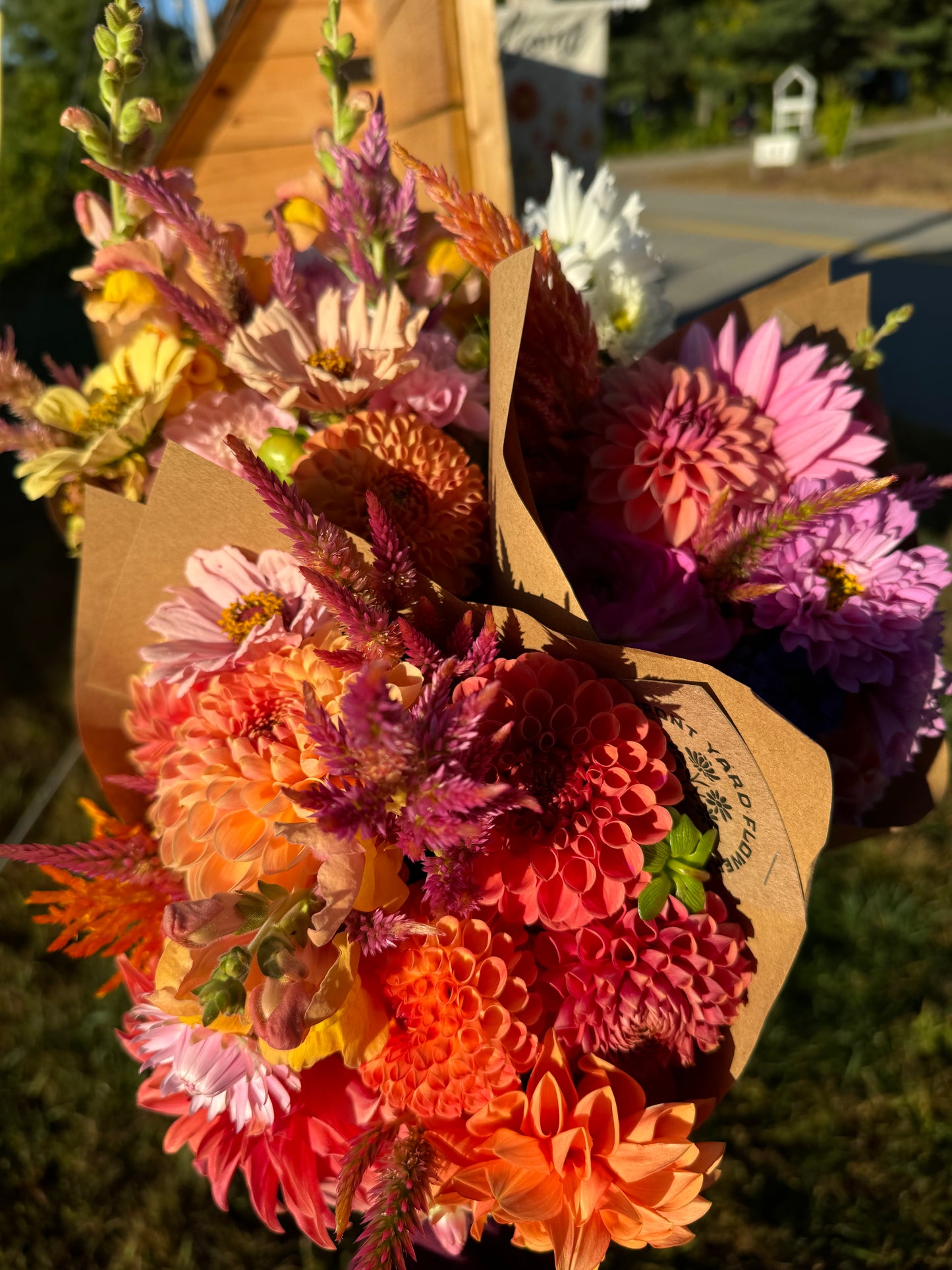 Flower Subscription- Dahlia Bouquets