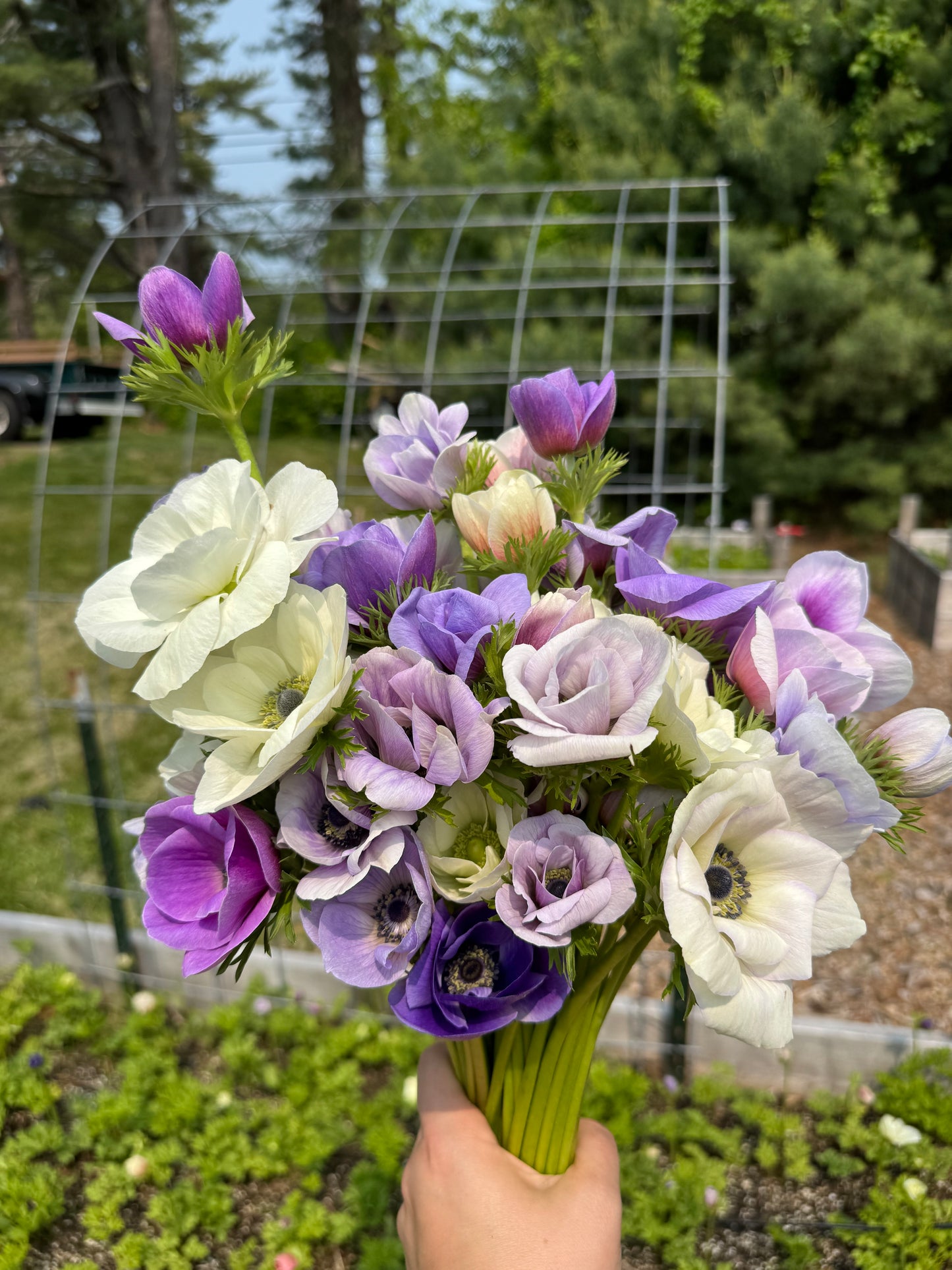 Flower Subscription- Spring Market Bouquets