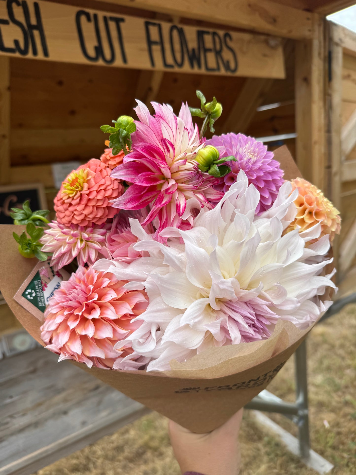 Flower Subscription- Dahlia Bouquets