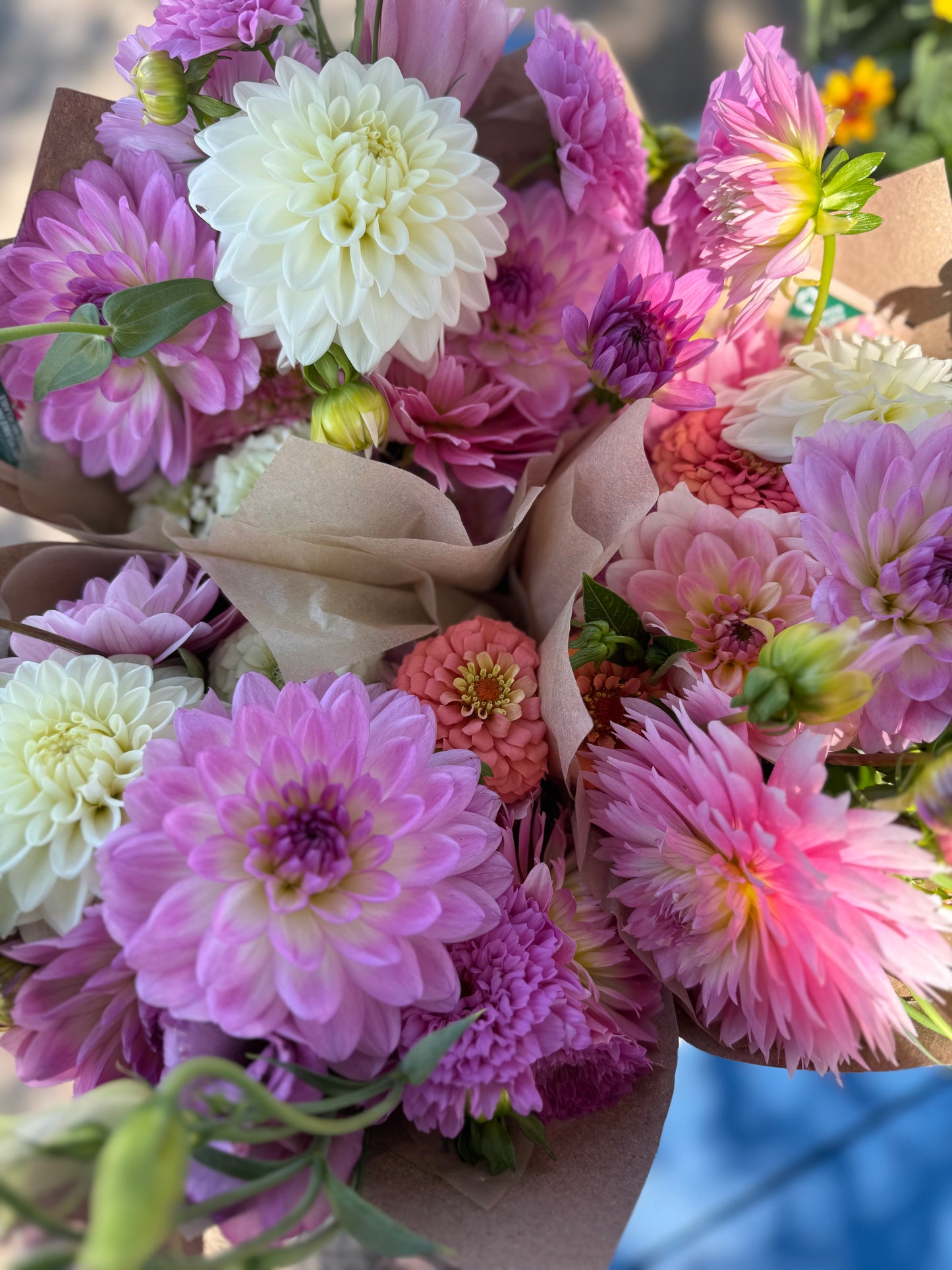 Flower Subscription- Dahlia Bouquets