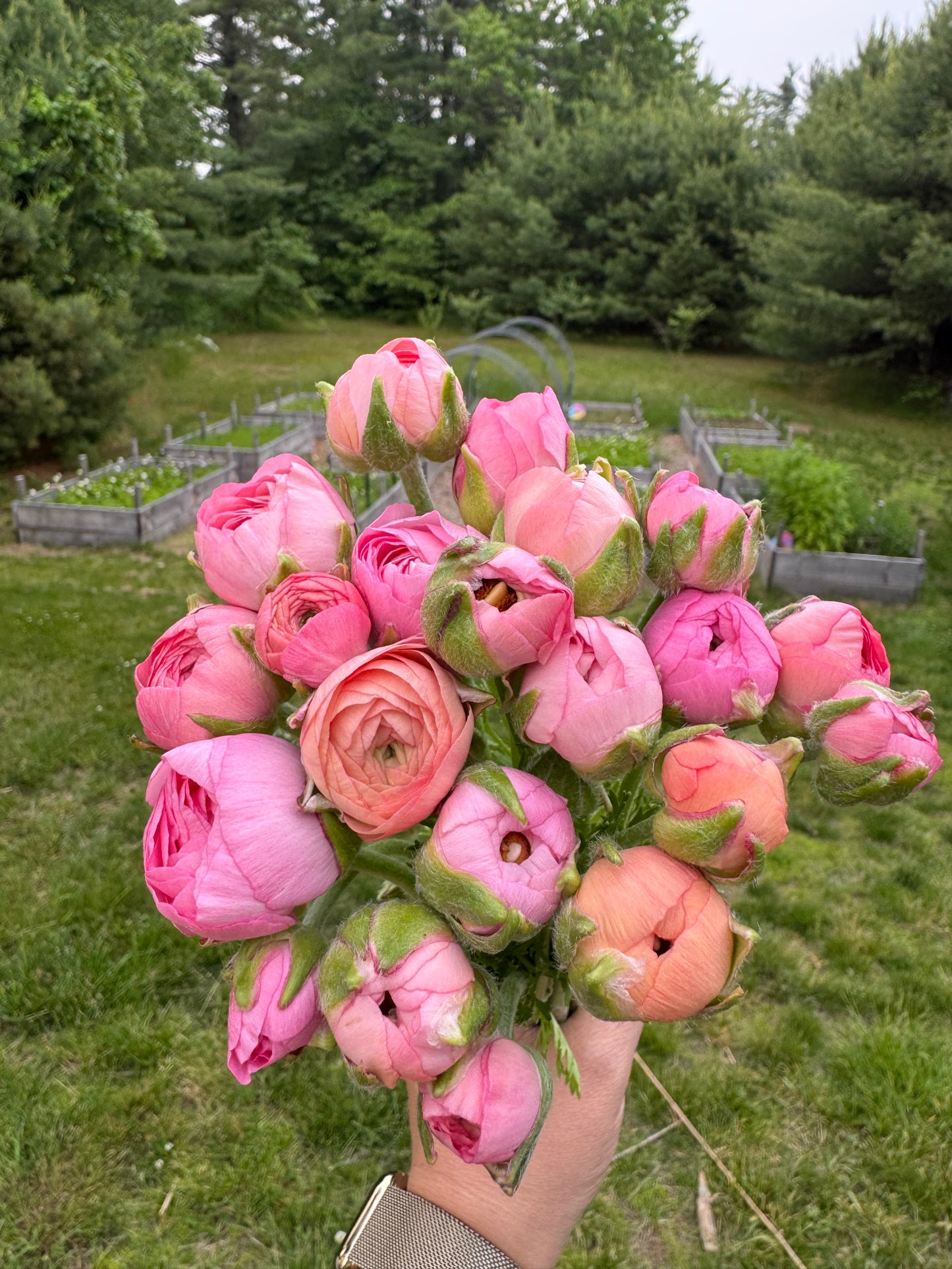 Flower Subscription- Spring Market Bouquets