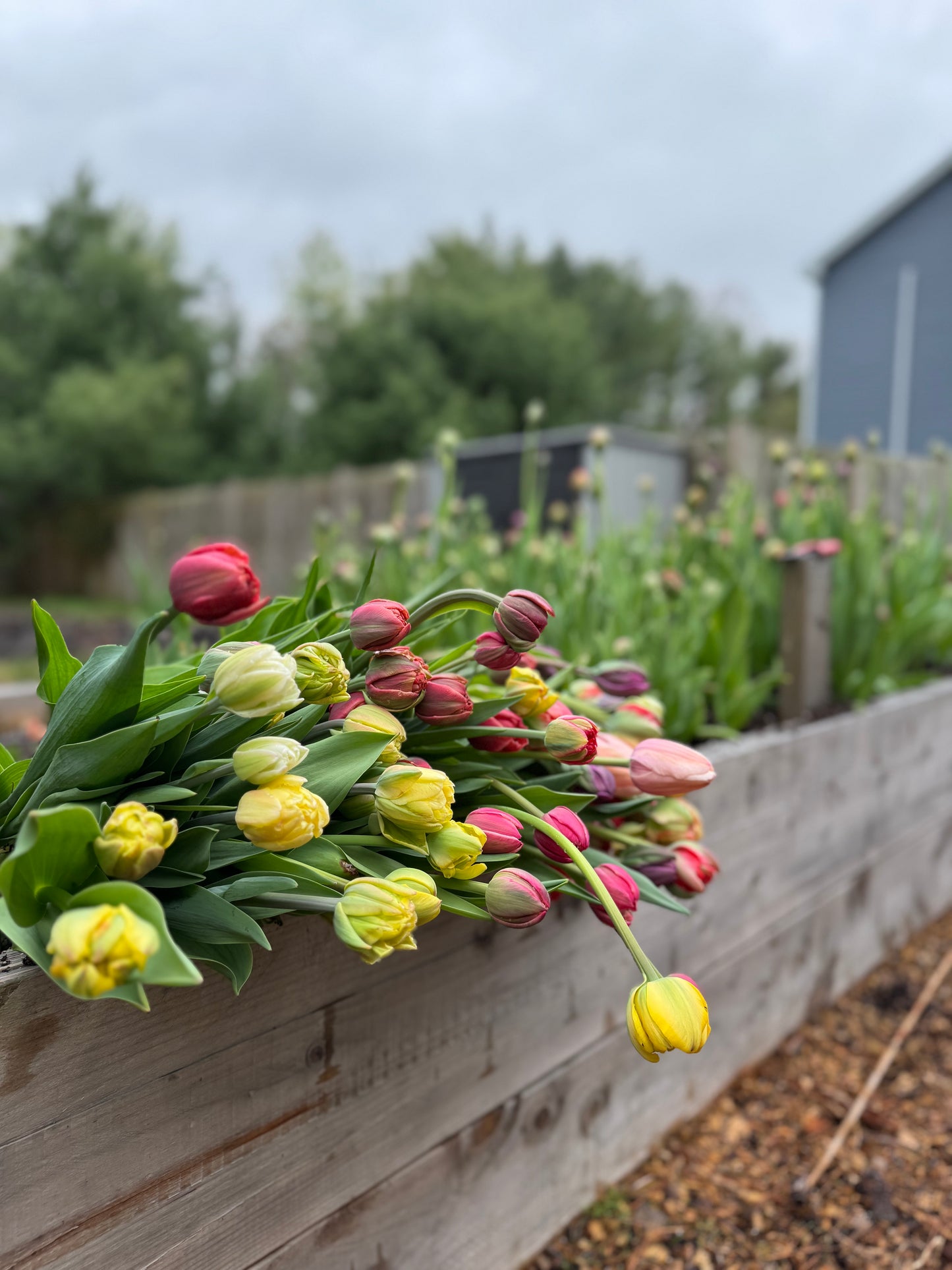 Flower Subscription- Spring Market Bouquets